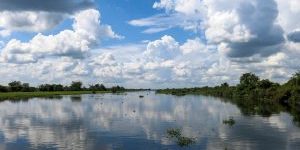 landscape-tree-water-nature-marsh-cloud-760985-pxhere.com