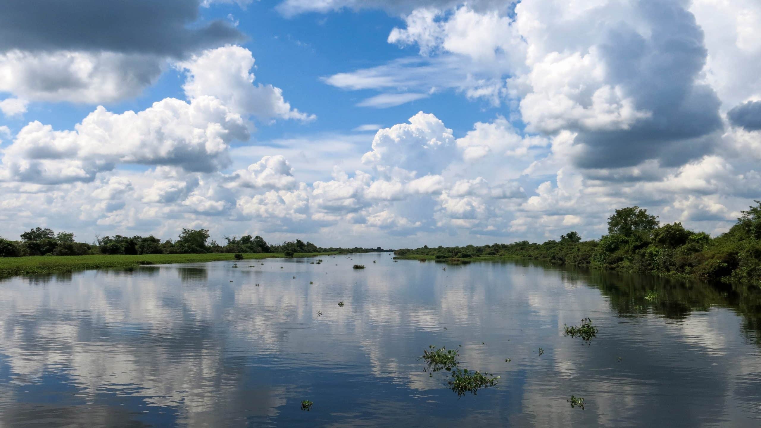 landscape-tree-water-nature-marsh-cloud-760985-pxhere.com